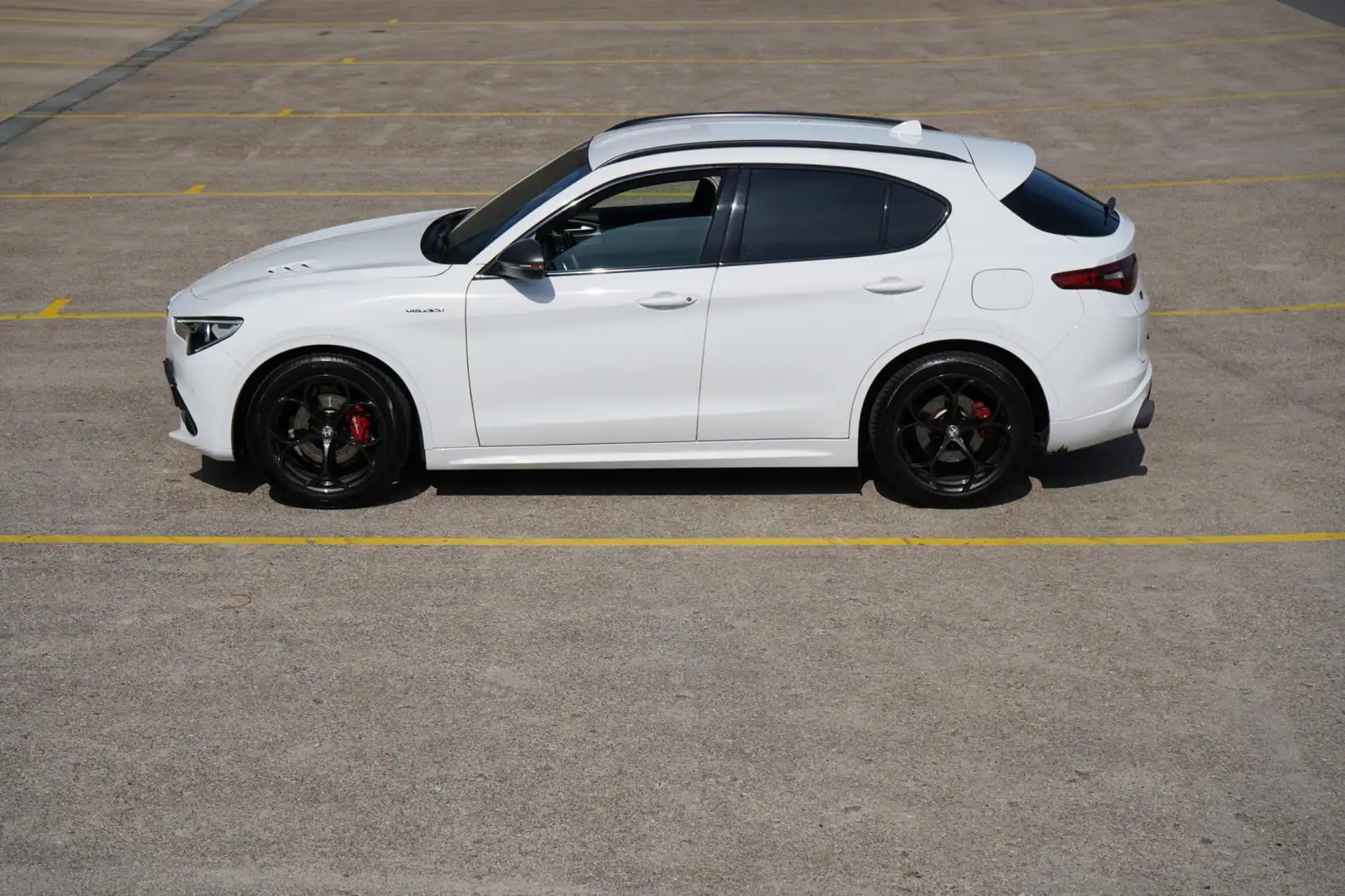 Alfa Romeo Stelvio 2.0 T AWD Super Pack Veloce Wit - 2