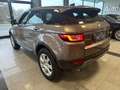 Land Rover Range Rover Evoque Pure Automatik Kamera Navi SH Barna - thumbnail 8