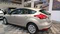 Ford Focus 1.5TDCi Business 120 Beige - thumbnail 21