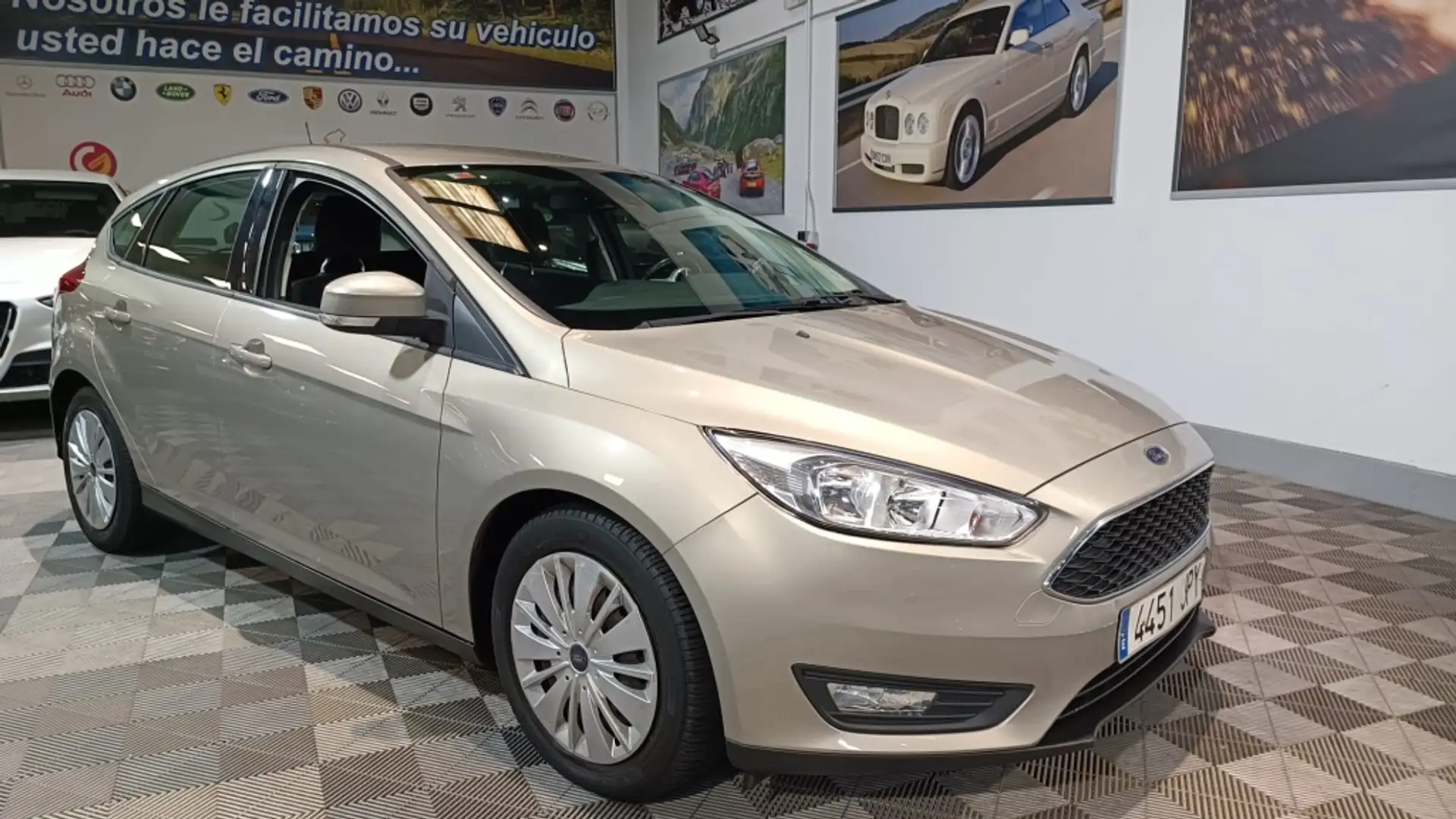 Ford Focus 1.5TDCi Business 120 Beige - 2
