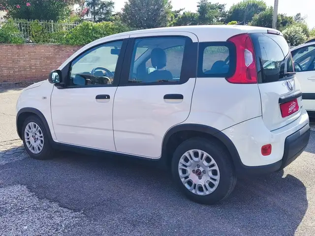 Fiat Panda view 2