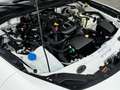 Fiat 124 1.4 MultiAir Turbo / Lusso / Pearl white / 2x Blanc - thumbnail 5