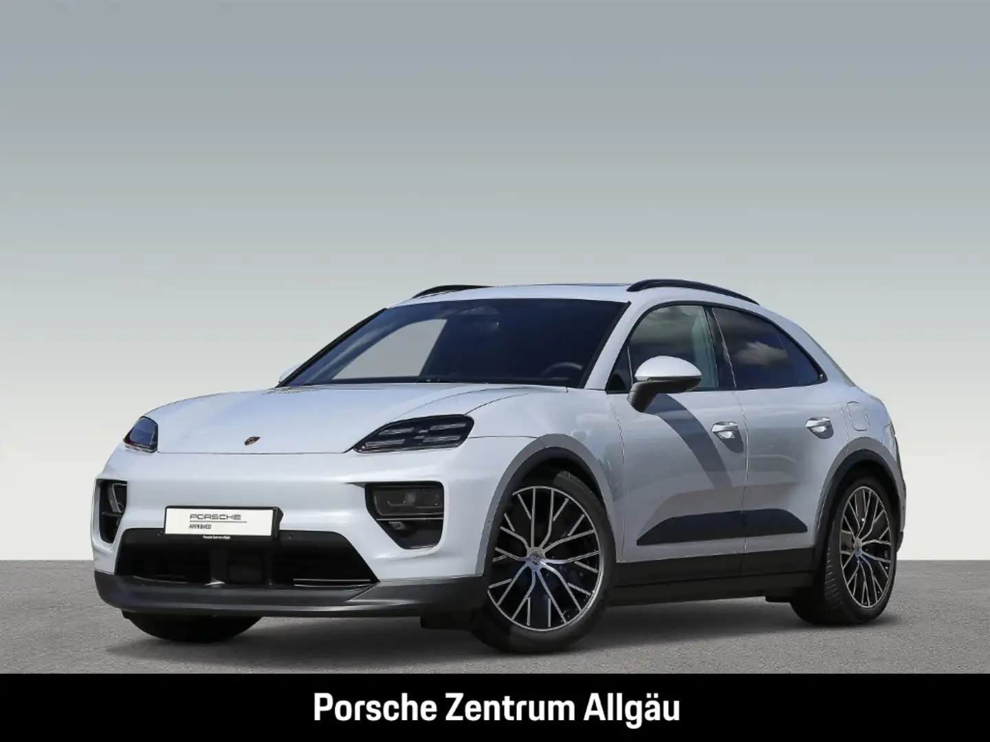 Porsche Macan Surround-View Abstandstempostat BOSE Grau - 1