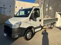 Iveco Daily 35S13 CASSONE 4.5m PREZZO + IVA!!! Bianco - thumbnail 3