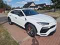 Lamborghini Urus 4.0 V8*HUD*360*PANO*CERAMIC* bijela - thumbnail 3