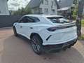 Lamborghini Urus 4.0 V8*HUD*360*PANO*CERAMIC* bijela - thumbnail 10
