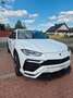 Lamborghini Urus 4.0 V8*HUD*360*PANO*CERAMIC* bijela - thumbnail 5