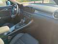 Alfa Romeo Tonale Tonale 1.6 diesel 130 CV TCT6 Ti Verde - thumbnail 6