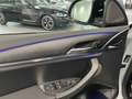 BMW X4 M 40d M Sport LMR+LKH+SAG+DISPLAY KEY+AKUSTIKVERG.+S Gris - thumbnail 19
