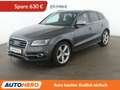 Audi SQ5 3.0 V6 TDI quattro Competition Aut.*NAVI*CAM* Grau - thumbnail 1