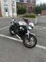 Triumph Street Triple S Demi ligne Yoshimura - thumbnail 1