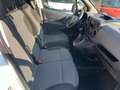 Citroen Berlingo 1.6HDI Blue/100CV/neopatentati/Euro6B/unico prop. Bianco - thumbnail 14