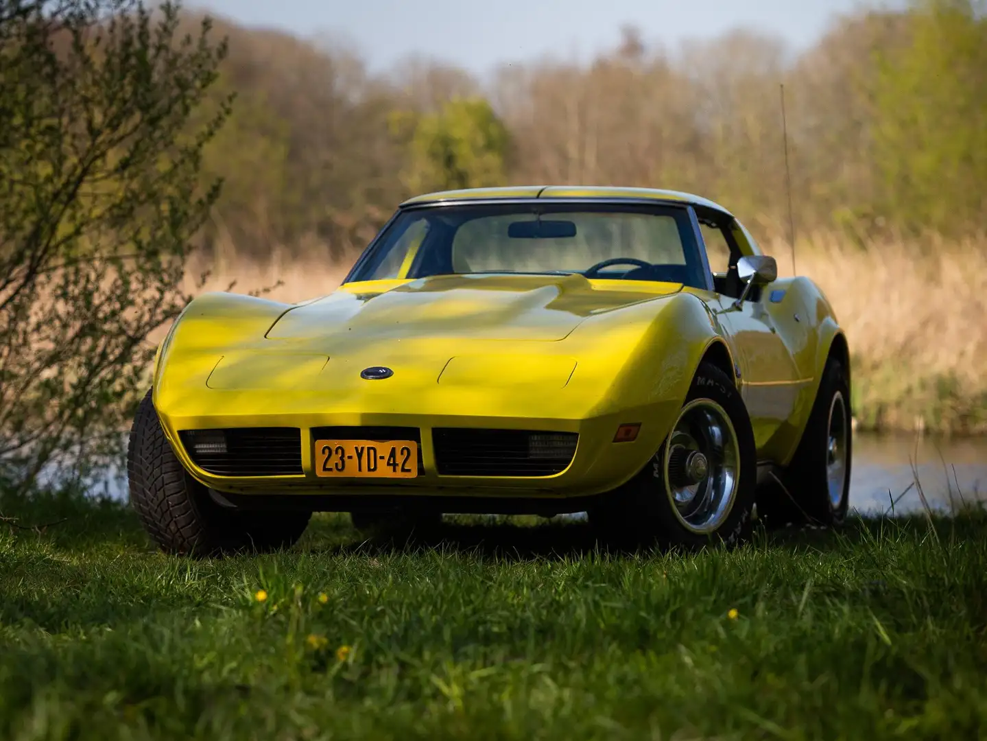 Chevrolet Corvette Corvette Stingray C3 Targa (body-off) Galben - 2