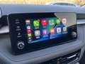 Skoda Fabia 1,0 TSI DSG Selection Plus Klima + LED + + Kamera Blau - thumbnail 11