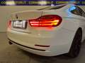 BMW 420 Serie 4 F32 Coupe 420d Coupe Sport 190cv auto Bianco - thumbnail 25