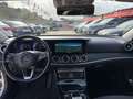 Mercedes-Benz E 220 Classe E - S213 SW SW d Premium Plus auto Argento - thumbnail 14