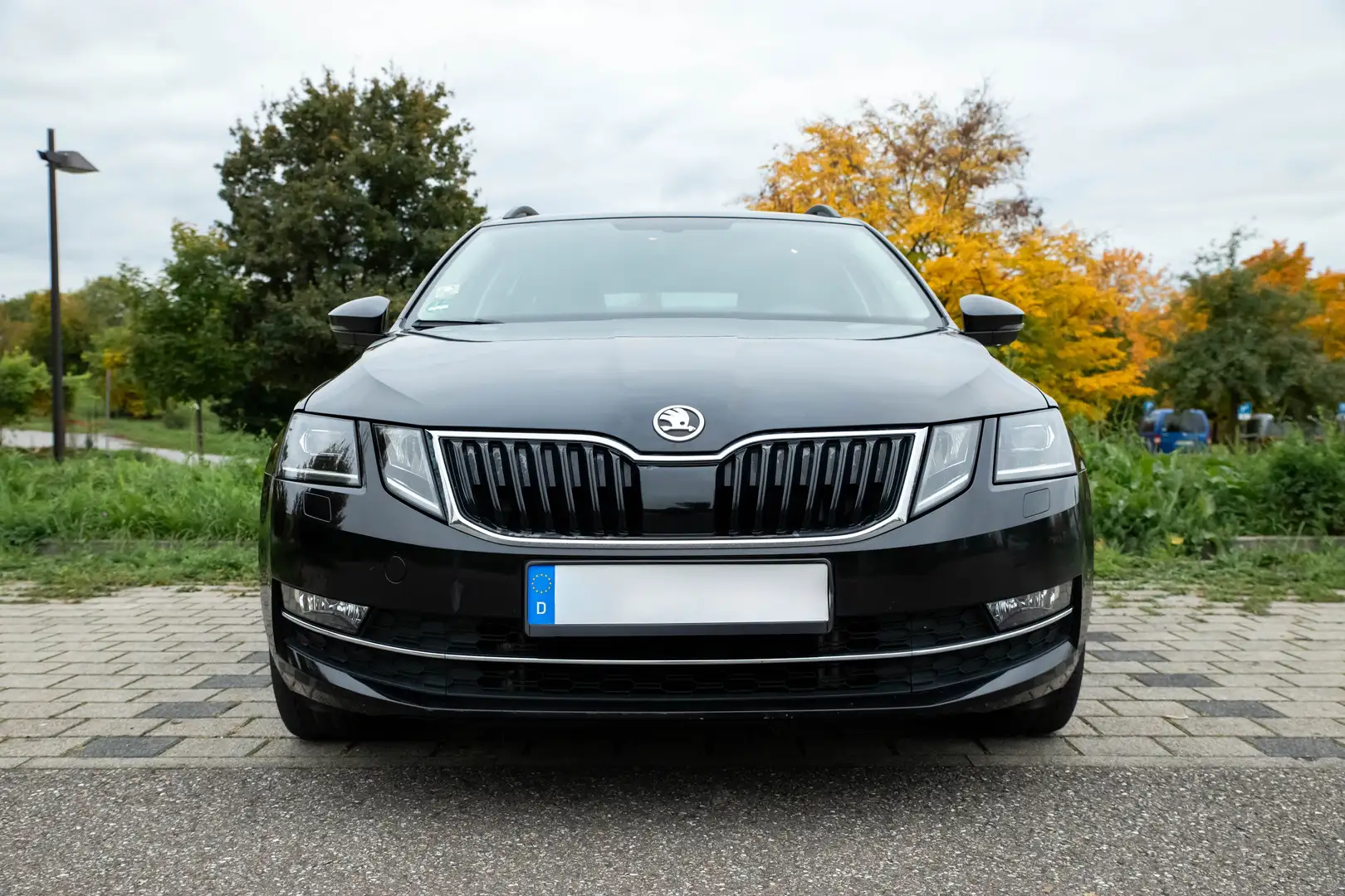 Skoda Octavia Octavia Combi 2.0 TDI Green tec DSG Solution Schwarz - 2