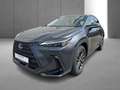Lexus NX 350h Business Line Gris - thumbnail 10