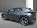 Lexus NX 350h Business Line Gris - thumbnail 7