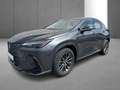Lexus NX 350h Business Line Gris - thumbnail 32