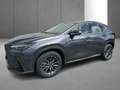 Lexus NX 350h Business Line Gris - thumbnail 5