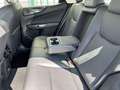 Lexus NX 350h Business Line Gris - thumbnail 28