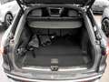 Audi Q5 Sportback TFSI quattro Memory+Techplus+EditionO... Grau - thumbnail 13