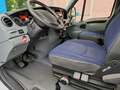 Iveco Daily 50 C XXXL 15 gr. Klima Standheiz. Luftf. 5600 Kg!! Weiß - thumbnail 10