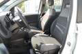 Fiat Panda 900 TwinAir 86CV 4x4 S&S Lounge Lega Uff Italy USB Blanc - thumbnail 9