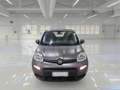 Fiat Panda 1.0 FireFly S&S Hybrid Sport Grigio - thumbnail 5