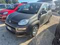 Fiat Panda Panda III 2021 1.0 firefly hybrid s Zilver - thumbnail 1
