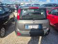 Fiat Panda Panda III 2021 1.0 firefly hybrid s Zilver - thumbnail 6