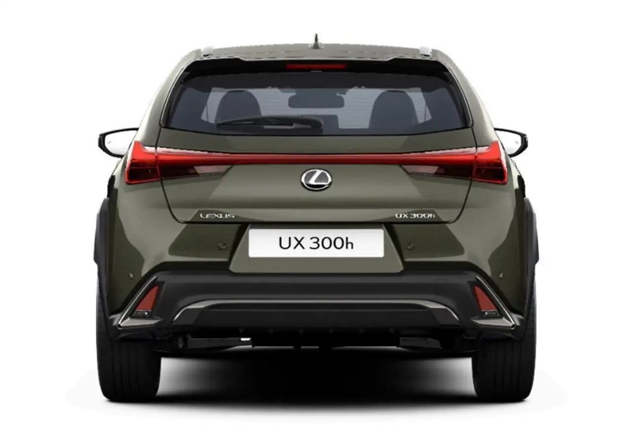Lexus UX 300h F Sport Design Klima Kamera Sitzhzg 4