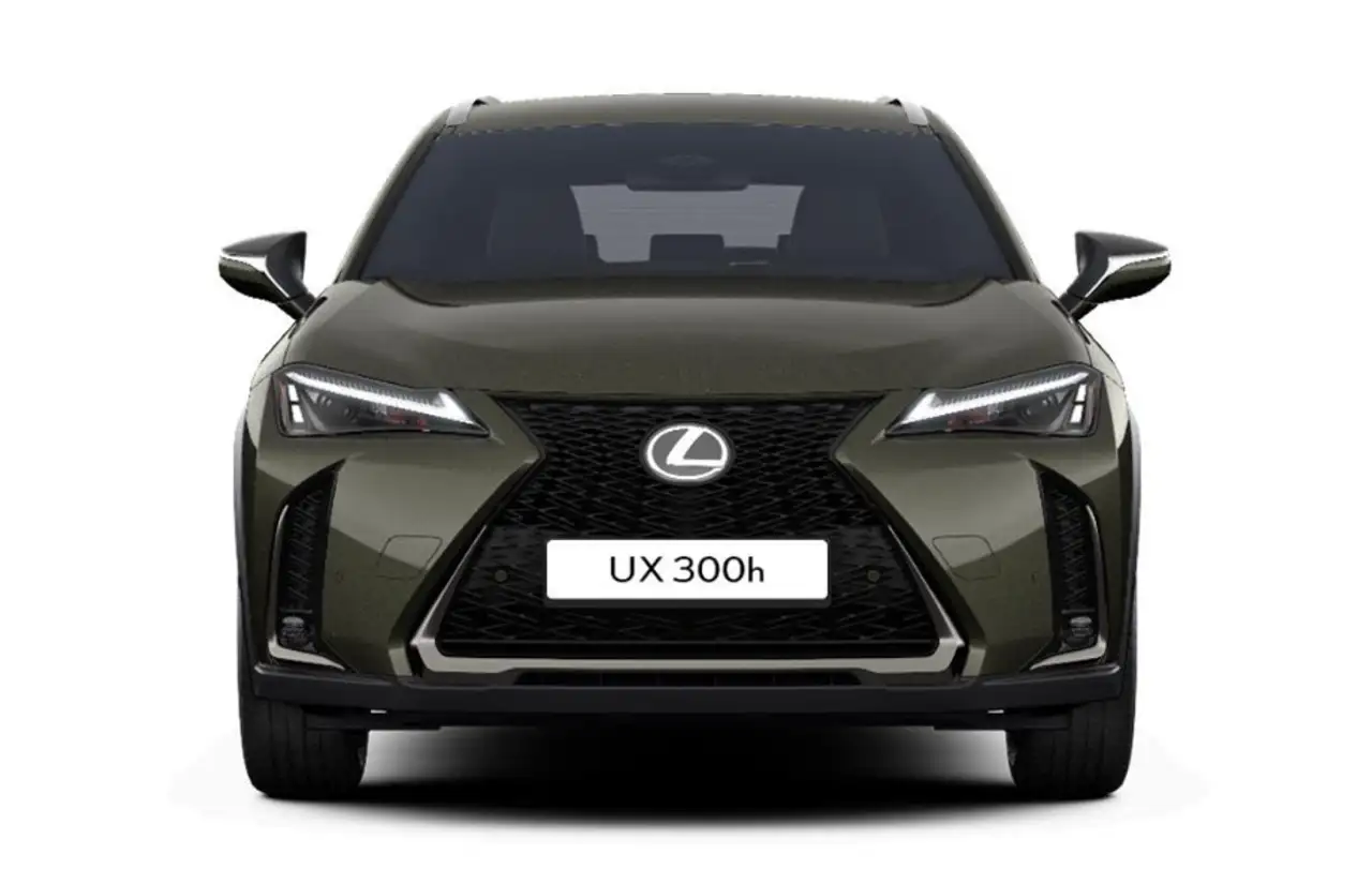 Lexus UX 300h F Sport Design Klima Kamera Sitzhzg 2