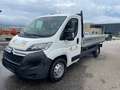 Citroen Jumper Citroen Jumper Pritsche Weiß - thumbnail 1