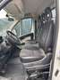 Citroen Jumper Citroen Jumper Pritsche Weiß - thumbnail 5