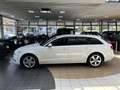Audi A6 2.0 TDI ultra Xenon Memory Navi Standheizung White - thumbnail 25