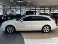 Audi A6 2.0 TDI ultra Xenon Memory Navi Standheizung White - thumbnail 26