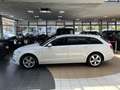 Audi A6 2.0 TDI ultra Xenon Memory Navi Standheizung White - thumbnail 28