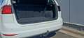 Volkswagen Golf Sportsvan Sportsvan 1,6 TDI Rabbit Pickerl 1/2027+4 Weiß - thumbnail 23