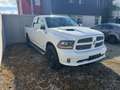 Dodge RAM 1500 Sport Weiß - thumbnail 3