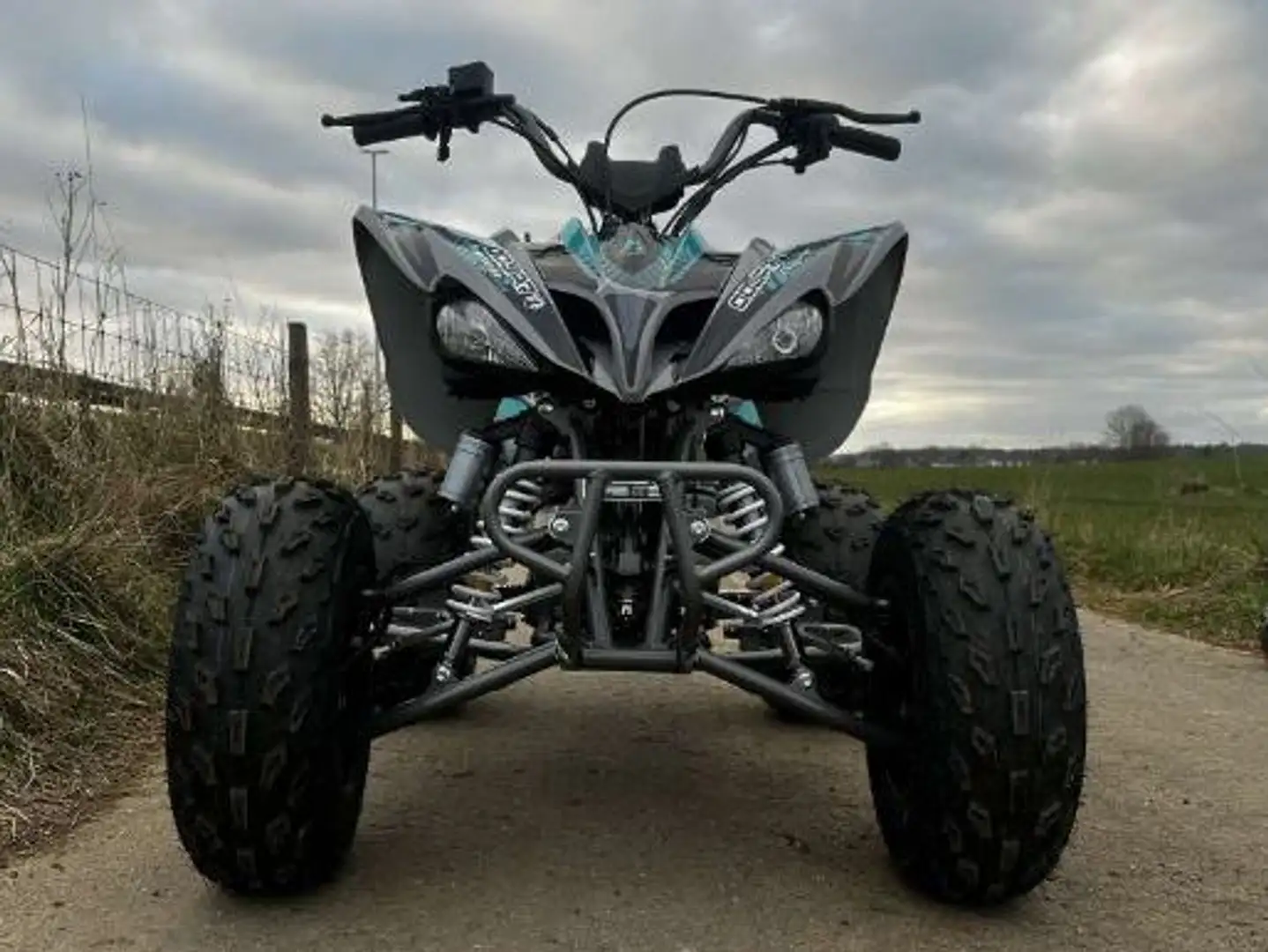 Yamaha FZR 250 Grijs - 2