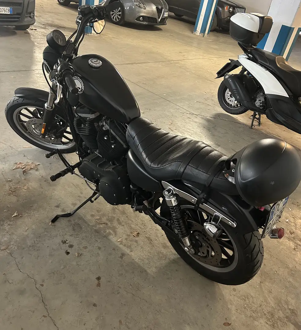 Harley-Davidson Sportster XL 883 - 1