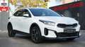 Kia XCeed XCEED 1.6 GDi PLUG-IN HYBRID VISION*ACC*CARPLAY Weiß - thumbnail 1
