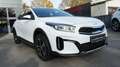 Kia XCeed XCEED 1.6 GDi PLUG-IN HYBRID VISION*ACC*CARPLAY Weiß - thumbnail 12