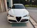 Alfa Romeo Stelvio 2.2 Turbodiesel 210 CV AT8 Q4 Veloce Bianco - thumbnail 2
