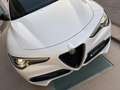 Alfa Romeo Stelvio 2.2 Turbodiesel 210 CV AT8 Q4 Veloce Bianco - thumbnail 34