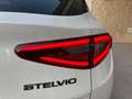 Alfa Romeo Stelvio 2.2 Turbodiesel 210 CV AT8 Q4 Veloce Bianco - thumbnail 39