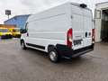 Fiat Ducato KW33 L2H2 140 Laderaumausbau 4Jahre Garantie Weiß - thumbnail 6