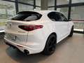 Alfa Romeo Stelvio Stelvio 2020 2.2 t Veloce Q4 210cv auto Bianco - thumbnail 14